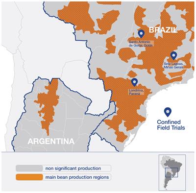 Transportability of Conclusions From Confined Field Trials: A Case Study Using the Virus Resistant Transgenic Bean Developed in Brazil